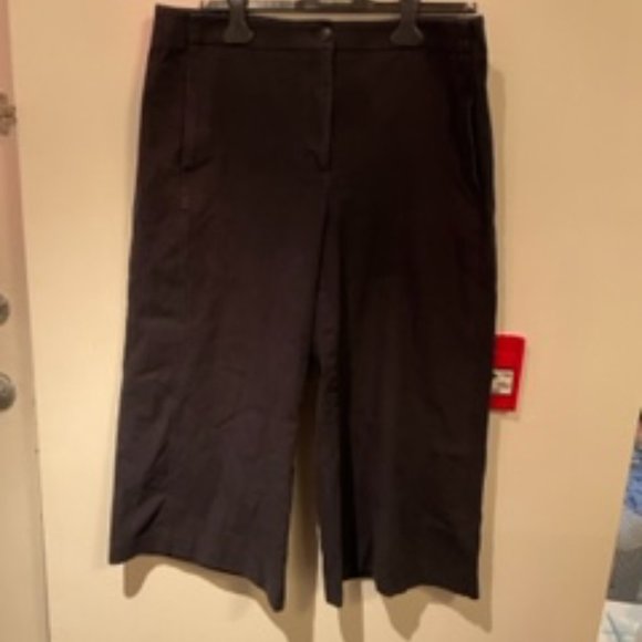 Ann Taylor Marina Pants in 14, Navy Cotton - Picture 3 of 3